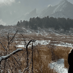 help A woman walking through a field towards snow-covered mountains. It is sunny, and she is bundled up.