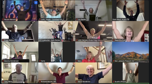 PFP Online Zoom image